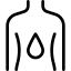 جەستە